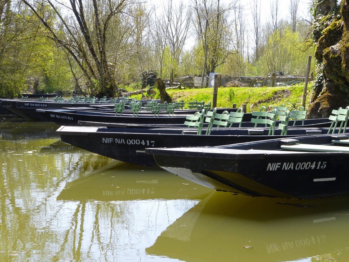 Barques plates amarrées dans la Venise verte