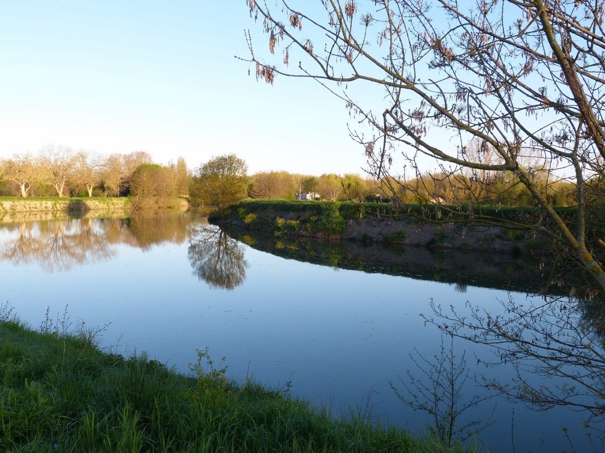 Canal calme reflétant le ciel et les arbres
